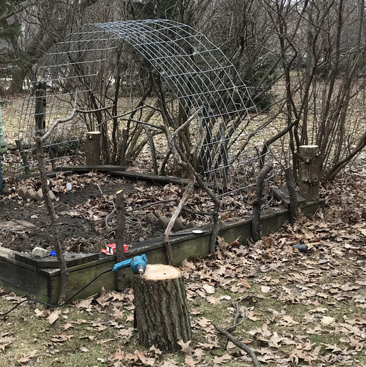 garden with natural fence